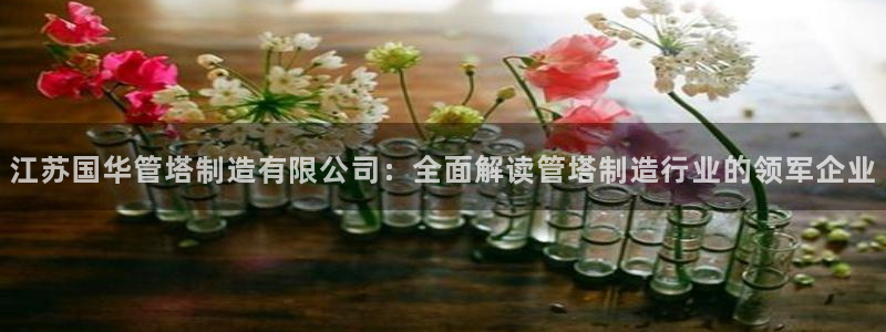 彩神大发cp：江苏国华管塔制造有限公司：全面解读管塔制造行业的领军企业
