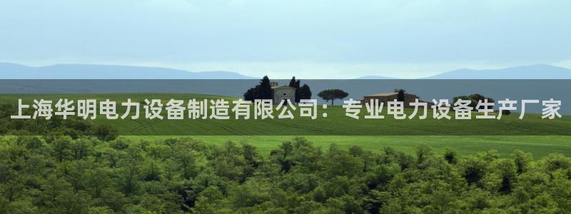 彩神赢了钱登录不上去：上海华明电力设备制造有限公司：专业电力设备生产厂家