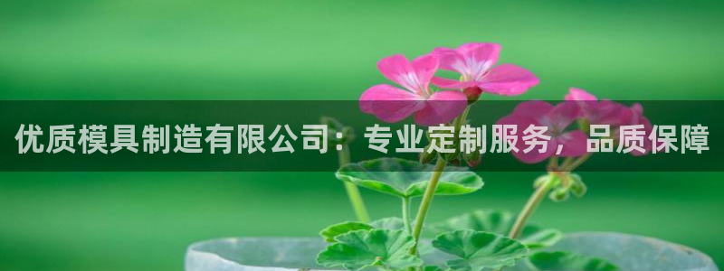彩神8官网合法吗：优质模具制造有限公司：专业定制服务，品质保
