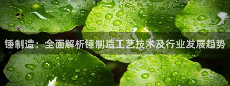 彩神旗下有哪些平台：锤制造：全面解析锤制造工艺技术及行业发展趋势
