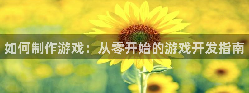 彩神v8是一个什么平台啊：如何制作游戏：从零开始的游戏开发指南