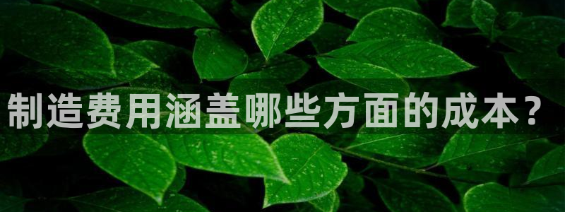 彩神vii官网