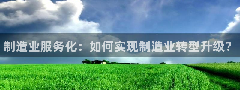 彩神vi官网版