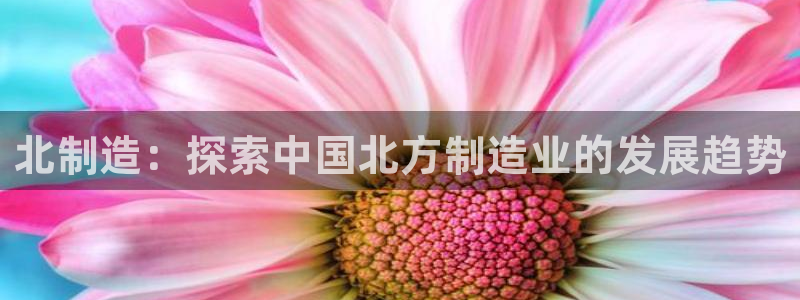 彩神v8首页：北制造：探索中国北方制造业的发展趋势