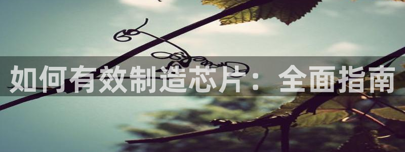新版彩神v8登录不上去：如何有效制造芯片：全面指南
