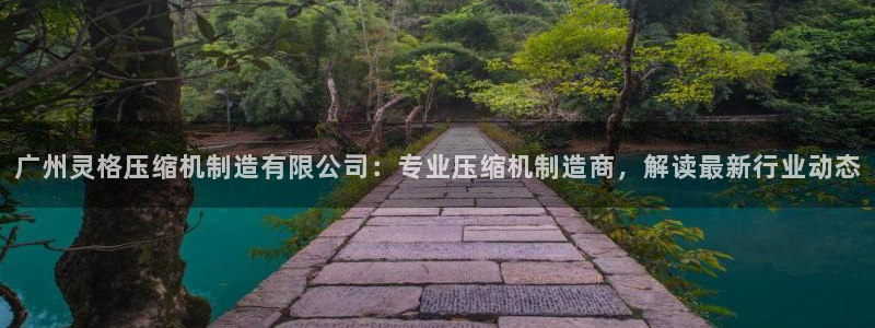 大发彩神最高邀请码：广州灵格压缩机制造有限公司：专业压缩机制造商，解读最新行业动态