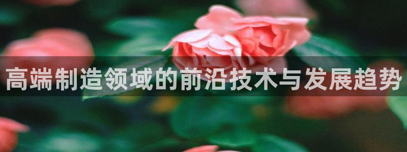 彩神v秘聊号码：高端制造领域的前沿技术与发展趋势