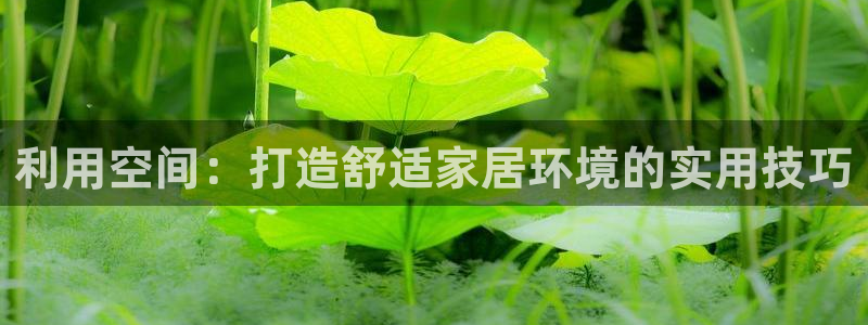 彩神平台是真的吗：利用空间：打造舒适家居环境的实用技巧