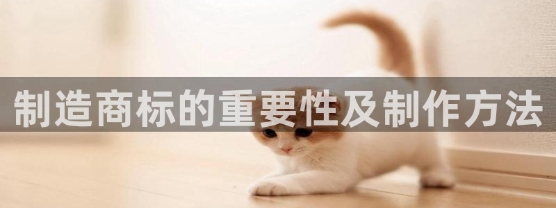 新版彩神v8登录不上去：制造商标的重要性及制作方法