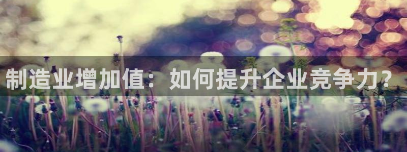 彩神大发cp：制造业增加值：如何提升企业竞争力？