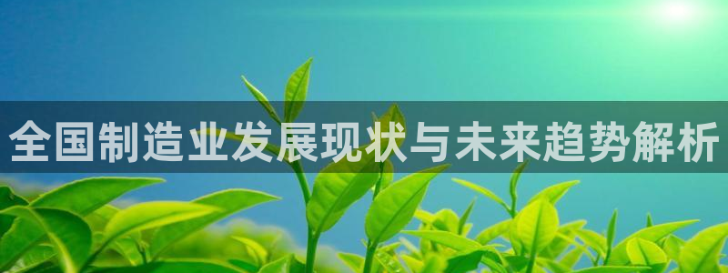彩神VII购彩中心