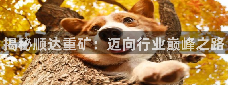 彩神v8下载：揭秘顺达重矿：迈向行业巅峰之路
