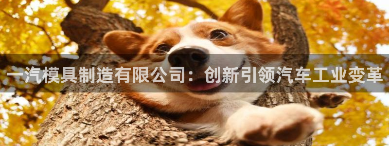 彩神V8平台：一汽模具制造有限公司：创新引领汽车工业变革
