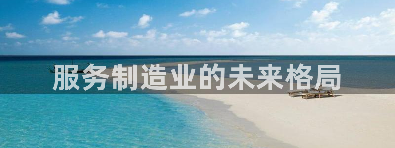 新版彩神v8登录不上去：服务制造业的未来格局
