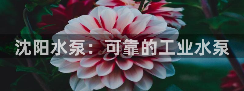 彩神v8下载网址：沈阳水泵：可靠的工业水泵