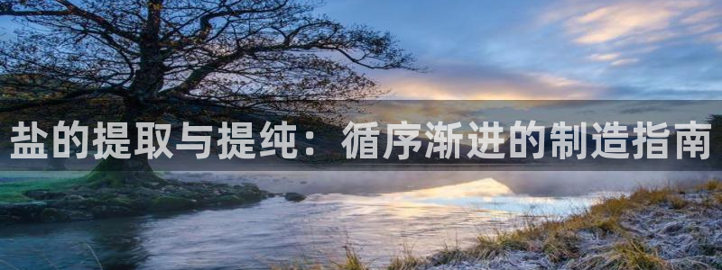 彩神v8购彩大厅登：盐的提取与提纯：循序渐进的制造指南