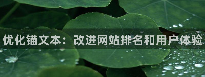 新版彩神v8登录不了：优化锚文本：改进网站排名和用户体验