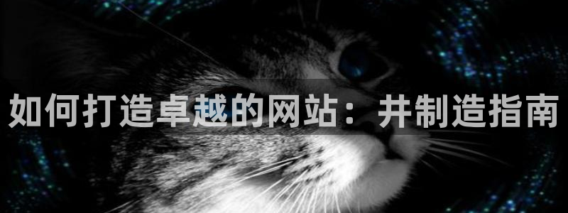 彩神8官网版