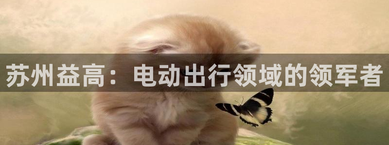 彩神购彩-购彩大厅入口老版：苏州益高：电动出行领域的领军者