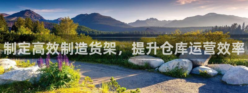 彩神大发cp