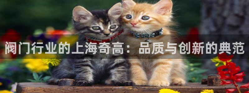 彩神v天天：阀门行业的上海奇高：品质与创新的典范