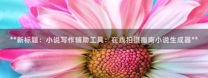 彩神购彩-购彩大厅入口500：**新标题：小说写作辅助工具：在线拍摄指南小说生成器**
