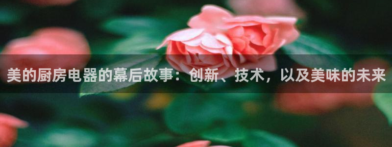 彩神vllⅰ购彩大厅：美的厨房电器的幕后故事：创新、技术，以及美味的未来