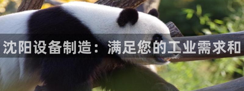 彩神viii是正规平台吗?：沈阳设备制造：满足您的工业需求和