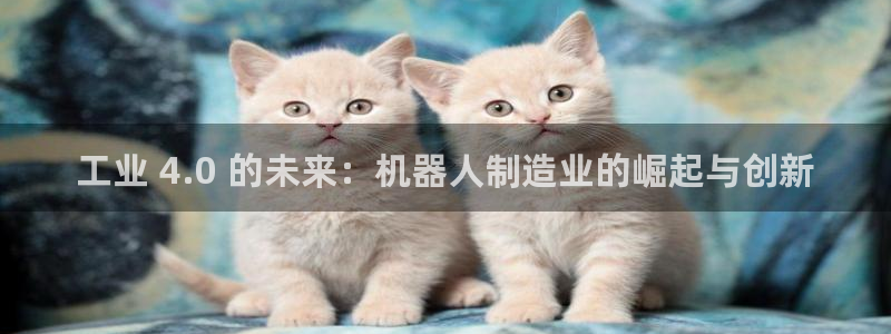 彩神争霸老平台：工业 4.0 的未来：机器人制造业的崛起与创新