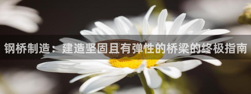 彩神购彩-购彩大厅入口36fr：钢桥制造：建造坚固且有弹性的