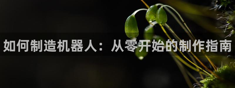 彩神iv争霸购彩大厅