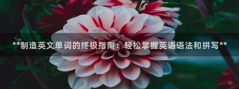 彩神赢了钱登录不上去：**制造英文单词的终极指南：轻松掌握英语语法和拼写**