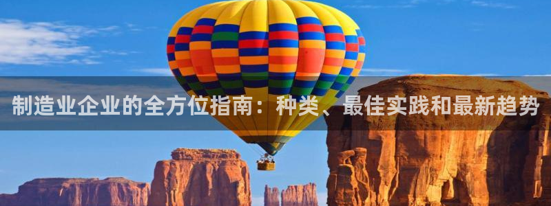 在彩神网输了六万多怎么拿回来：制造业企业的全方位指南：种类、最佳实践和最新趋势