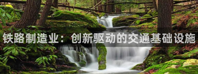 彩神vlll官方网