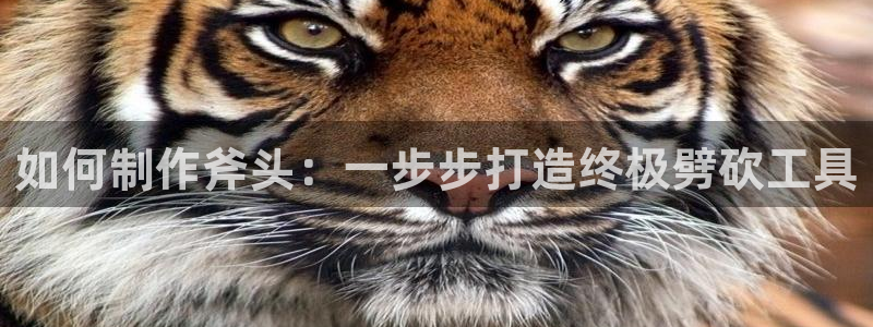 所有彩神购买首页