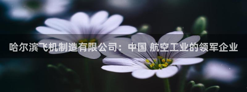 彩神v8手机客户端在哪：哈尔滨飞机制造有限公司：中国 航空工