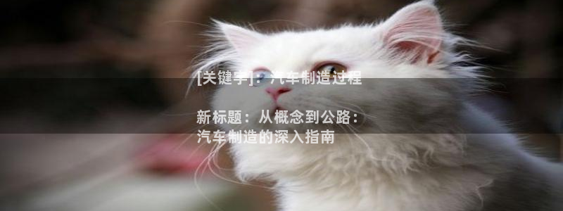 彩神v8几个版本：[关键字]：汽车制造过程

新标题：从概念到公路：
汽车制造的深入指南