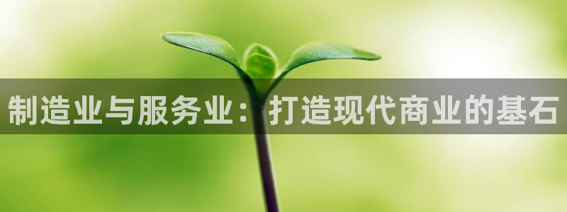 彩神v8有多久了?靠谱吗：制造业与服务业：打造现代商业的基石