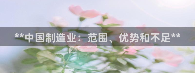 新版彩神v8登录不上去：**中国制造业：范围、优势和不足**