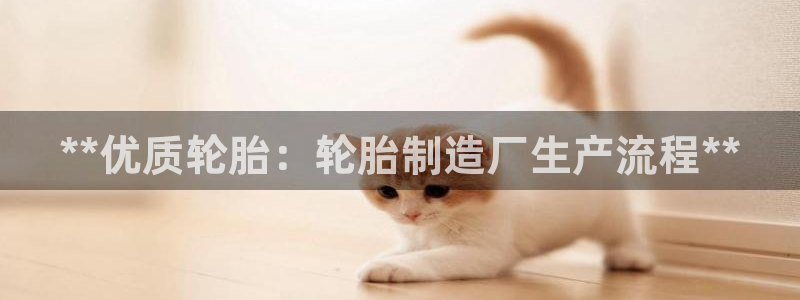 彩神vip购彩：**优质轮胎：轮胎制造厂生产流程**