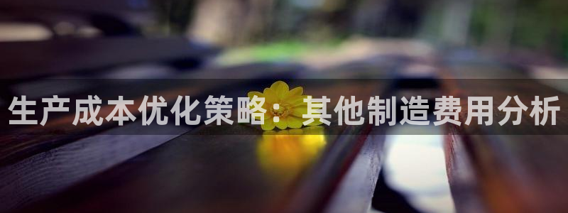 彩神ii官方网