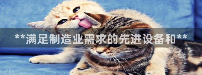 彩神v集团有限公司：**满足制造业需求的先进设备和**