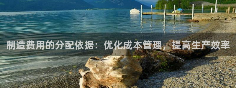彩神v8平台正规吗安全吗：制造费用的分配依据：优化成本管理，