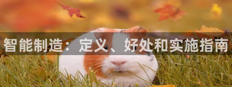彩神盈利图片：智能制造：定义、好处和实施指南