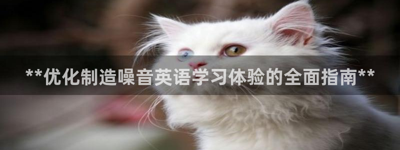 彩神8是正规平台吗是正品吗：**优化制造噪音英语学习体验的全面指南**