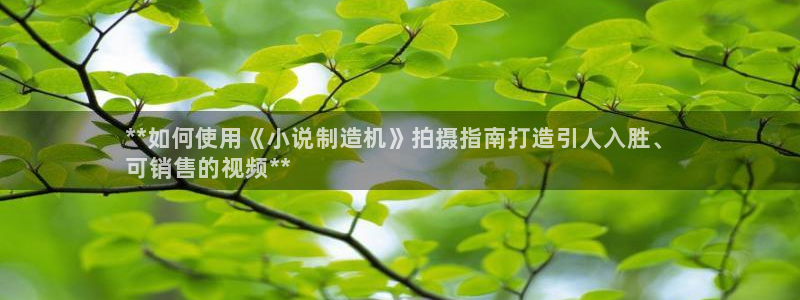 彩神输的钱是赌博还是诈骗