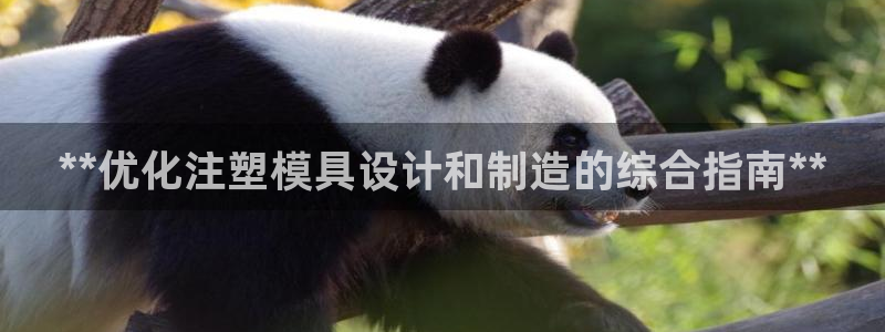彩神vii官网：**优化注塑模具设计和制造的综合指南**
