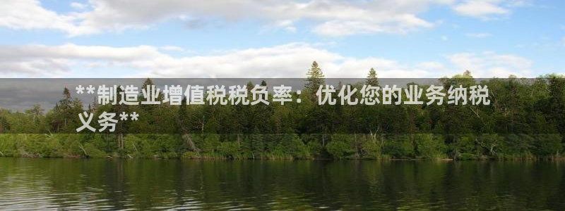 彩神v8iii：**制造业增值税税负率：优化您的业务纳税
义务**
