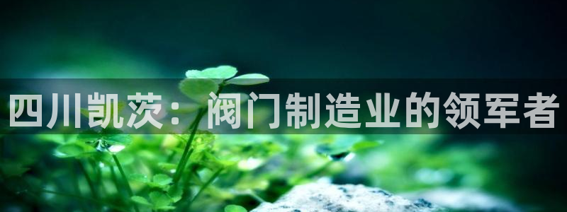 彩神平台可以破解吗：四川凯茨：阀门制造业的领军者