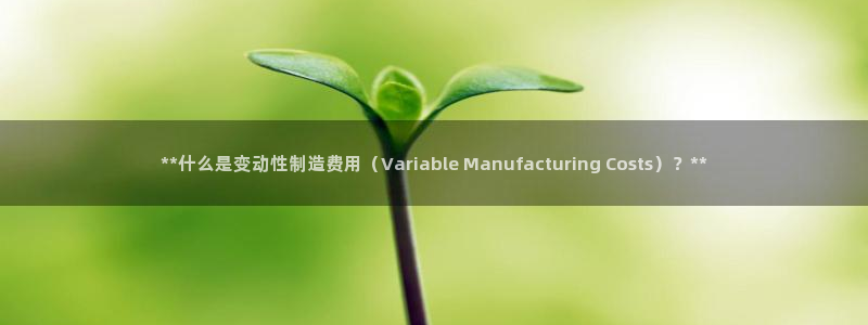 彩神v彩搜狗：**什么是变动性制造费用（Variable M